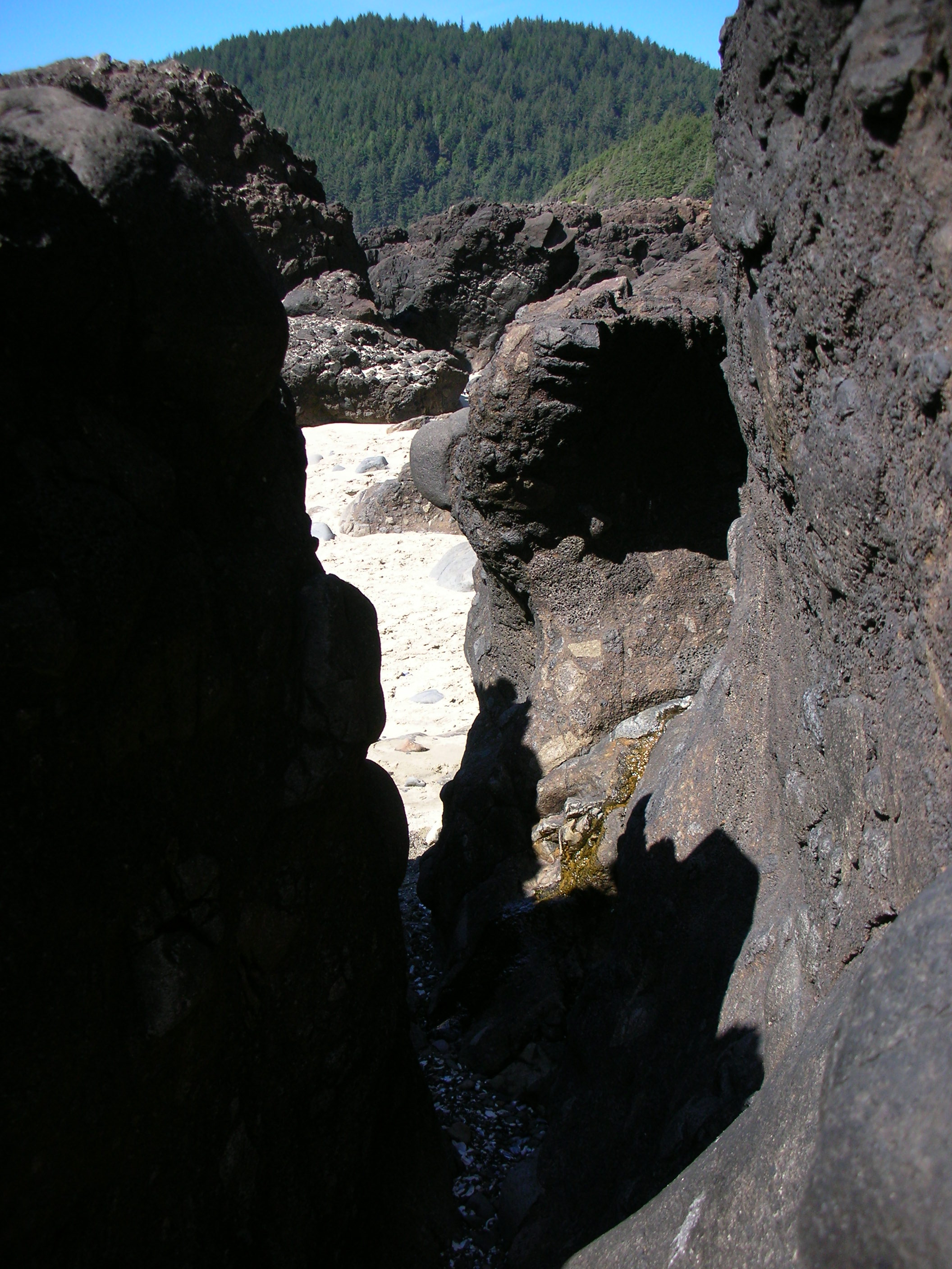 DSCN3475.jpg