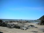 DSCN3477.jpg