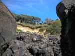 DSCN3478.jpg