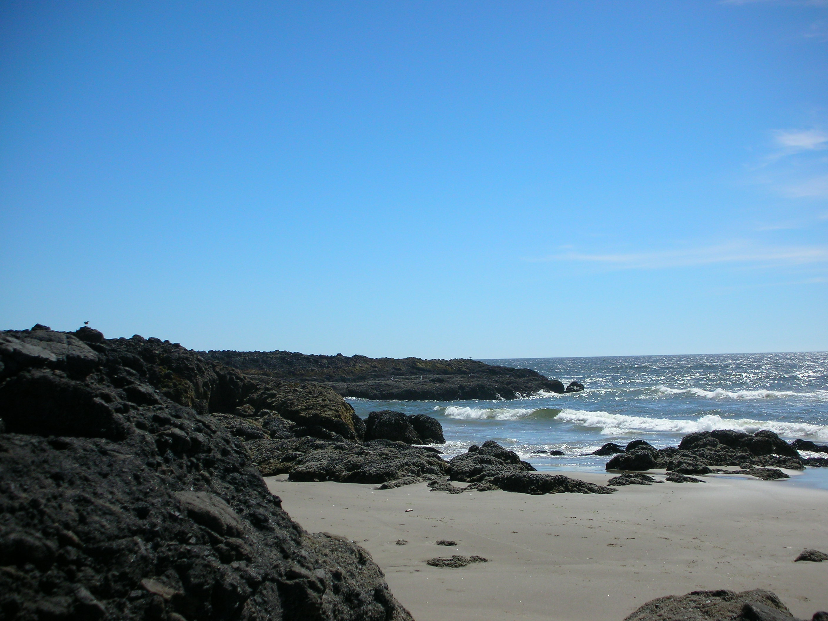 DSCN3479.jpg