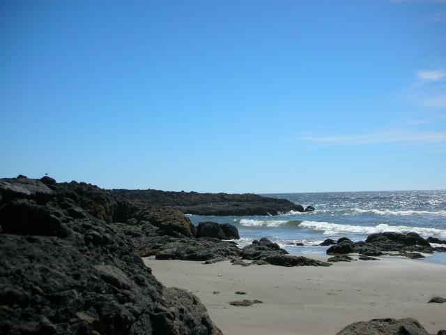 DSCN3479.jpg