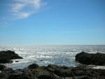 DSCN3480.jpg
