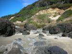DSCN3481.jpg