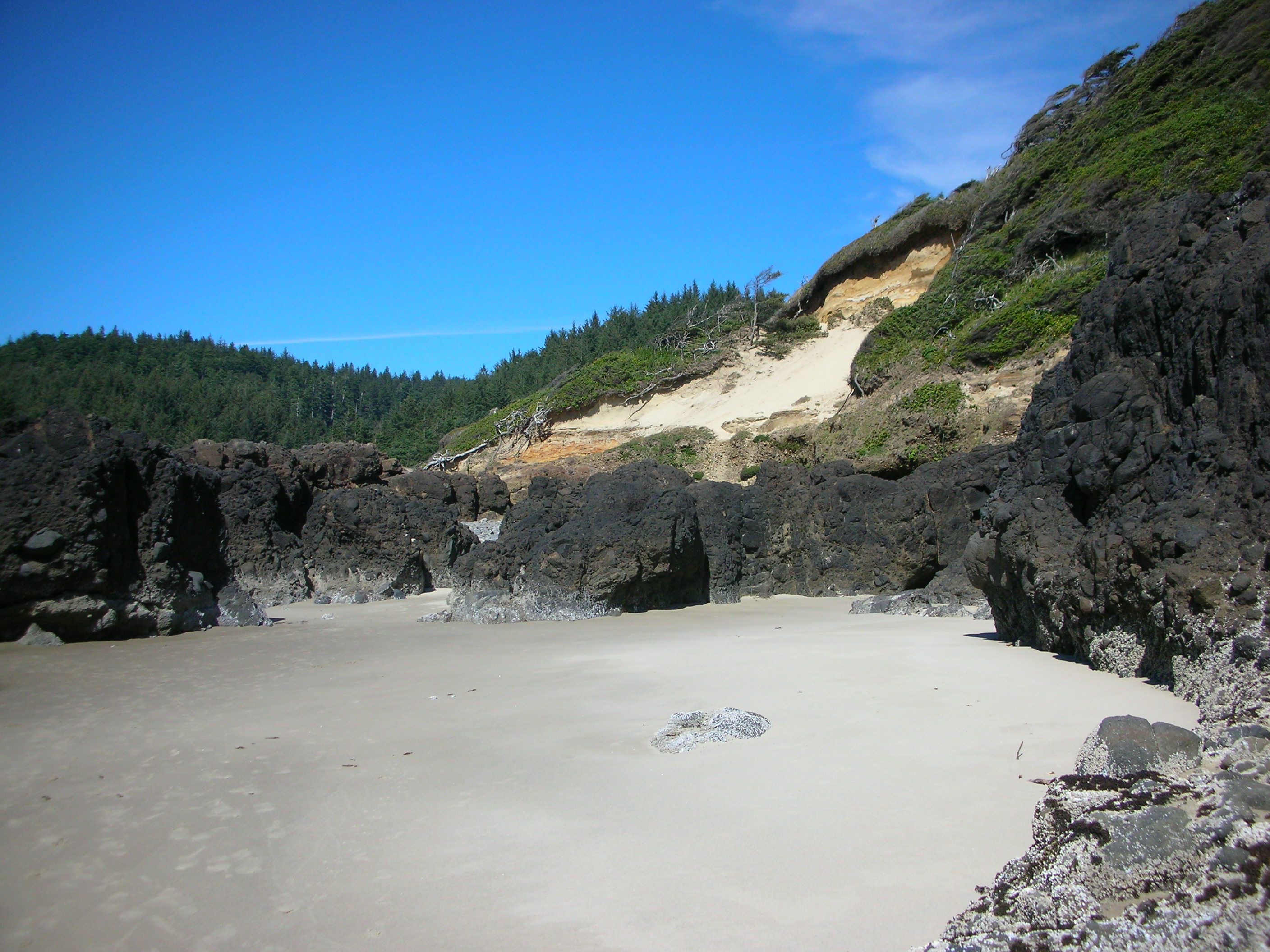 DSCN3482.jpg