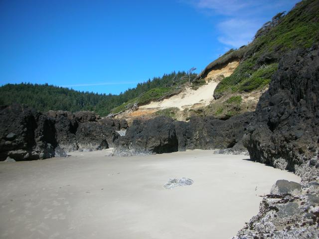 DSCN3482.jpg