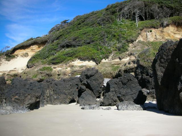 DSCN3483.jpg
