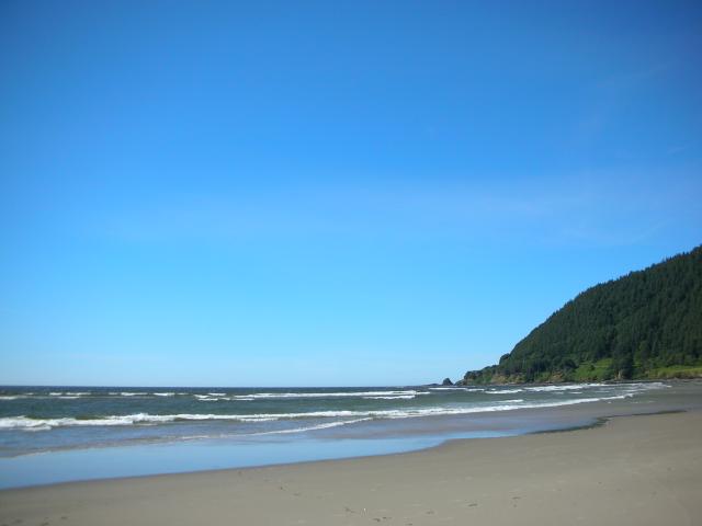DSCN3484.jpg
