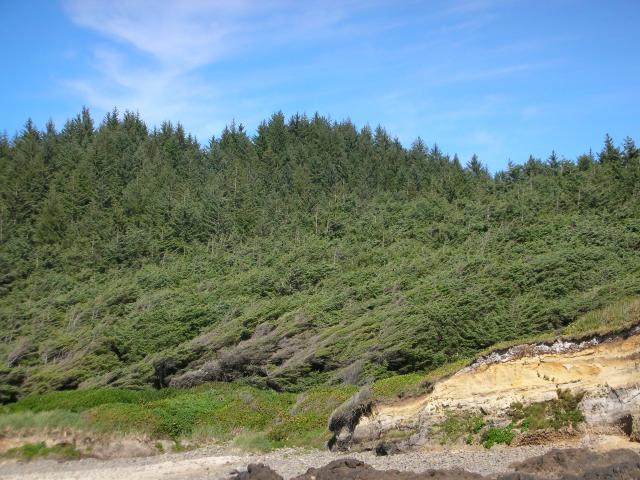 DSCN3486.jpg