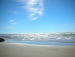 DSCN3487.jpg