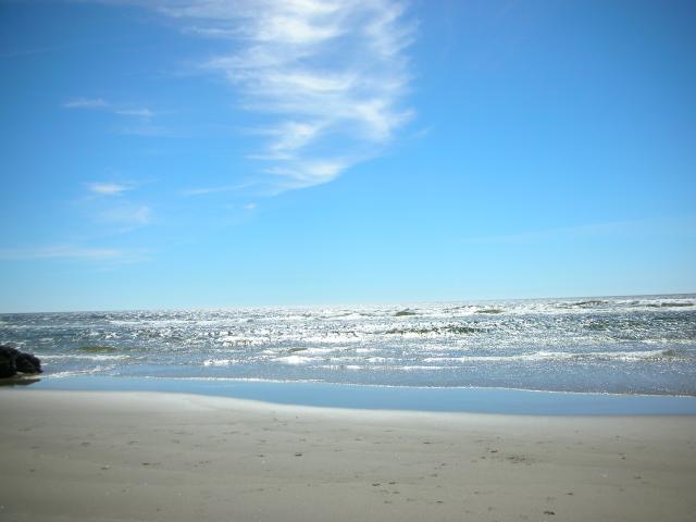 DSCN3487.jpg