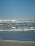 DSCN3488.jpg