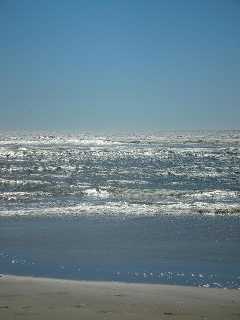 DSCN3488.jpg