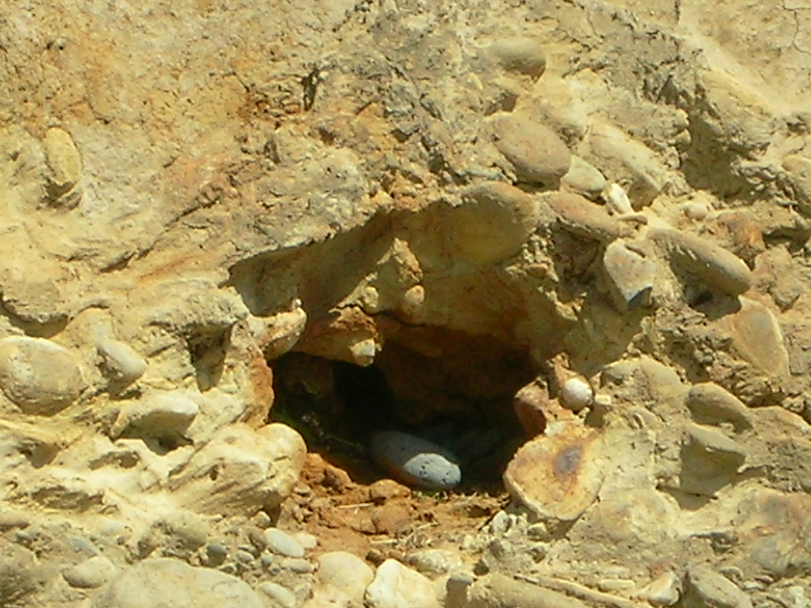 DSCN3491.jpg