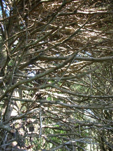 DSCN3492.jpg