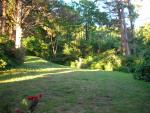 DSCN3497.jpg