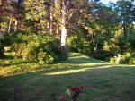 DSCN3498.jpg