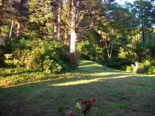 DSCN3498.jpg