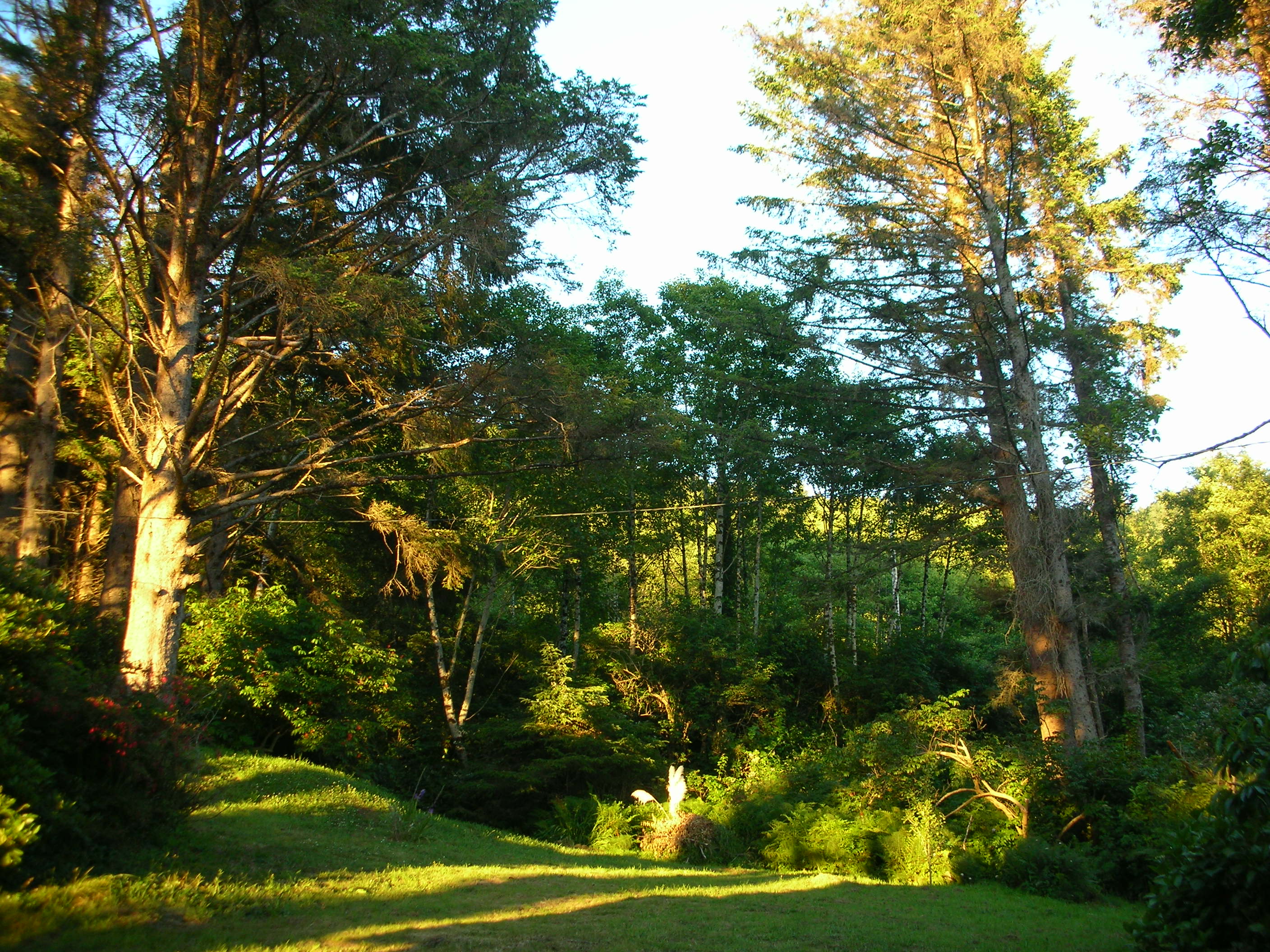 DSCN3502.jpg
