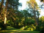 DSCN3502.jpg