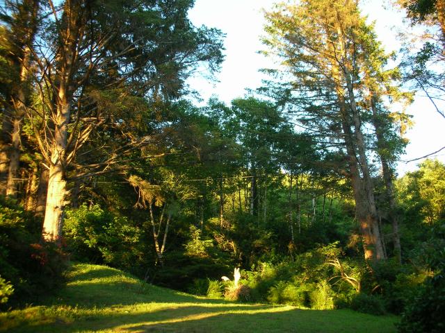 DSCN3502.jpg