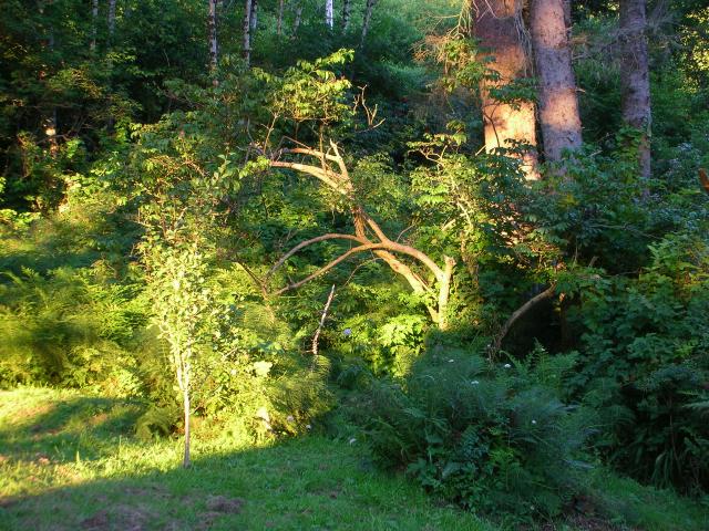 DSCN3504.jpg