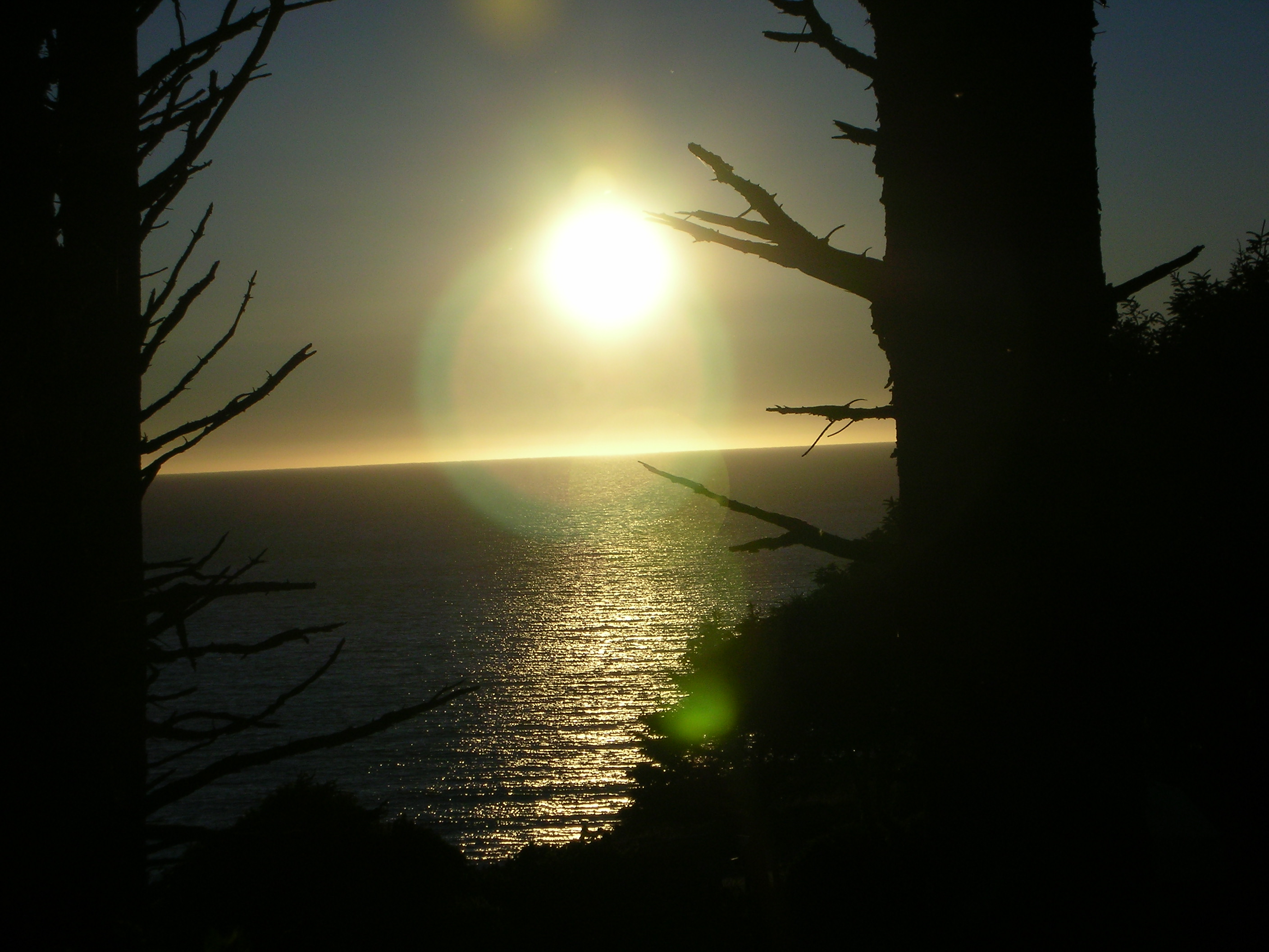 DSCN3505.jpg