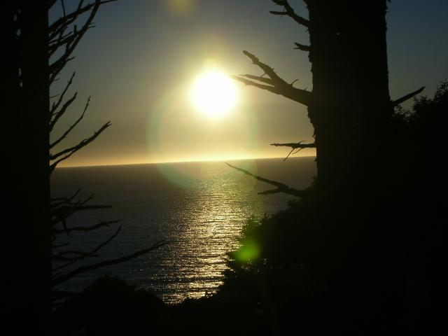 DSCN3505.jpg