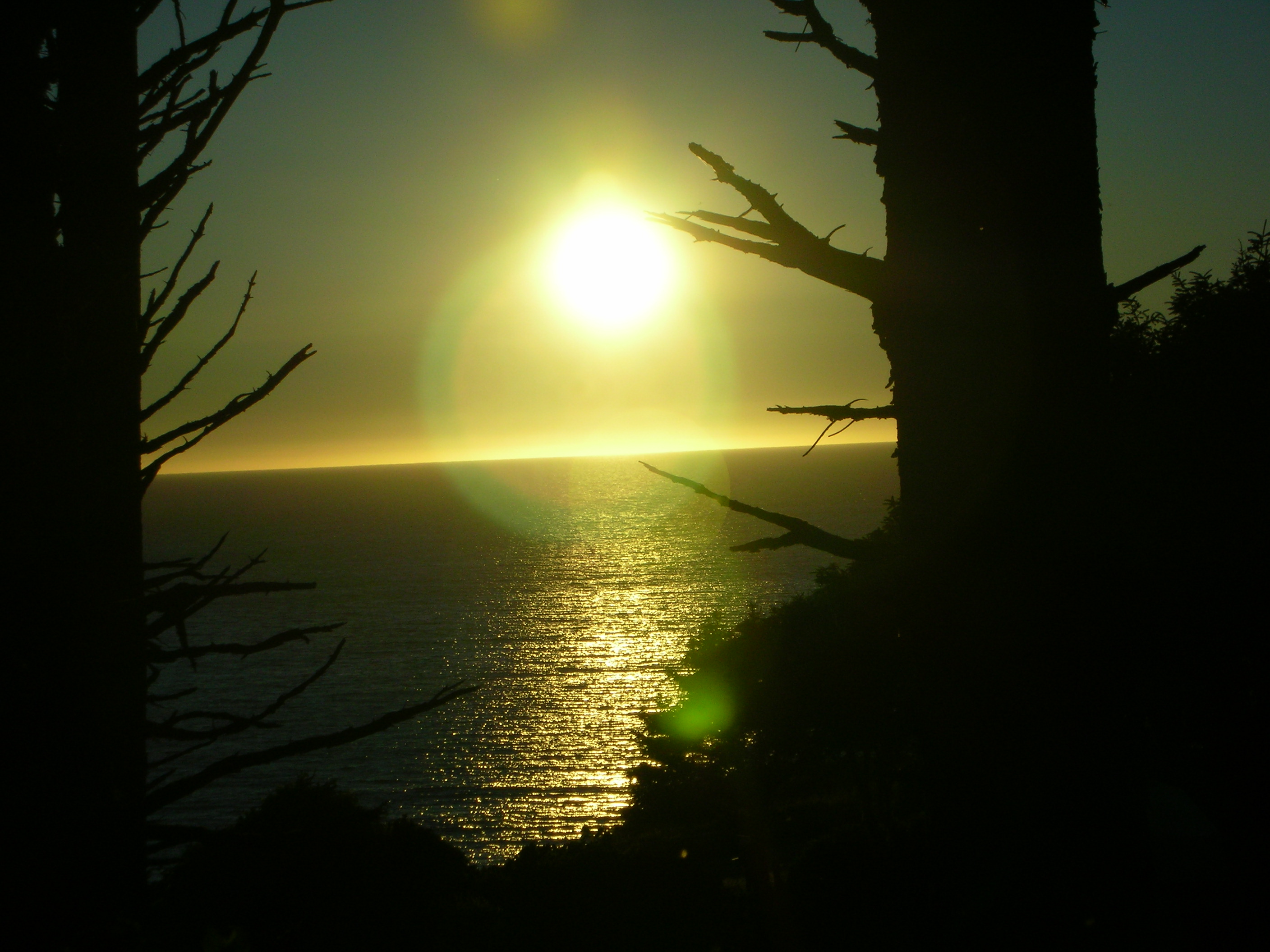 DSCN3506.jpg