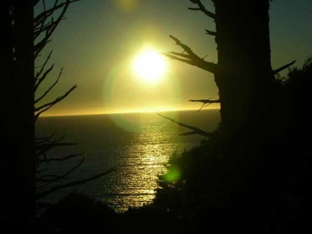 DSCN3506.jpg