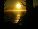 DSCN3508.jpg