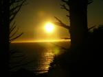 DSCN3509.jpg