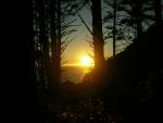 DSCN3510.jpg