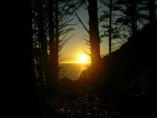 DSCN3510.jpg