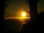 DSCN3511.jpg
