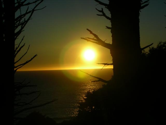 DSCN3512.jpg