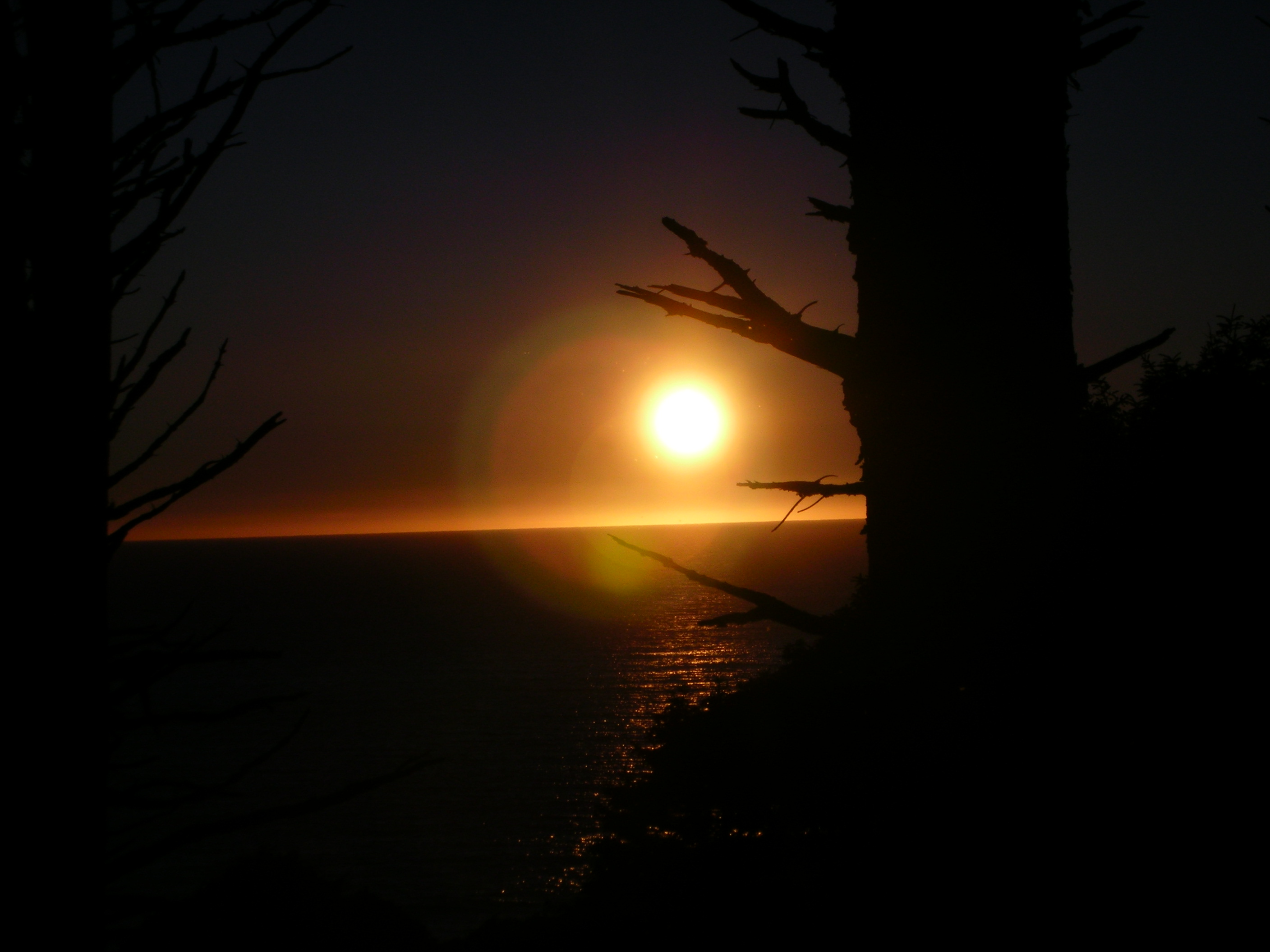 DSCN3513.jpg