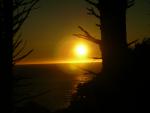 DSCN3514.jpg