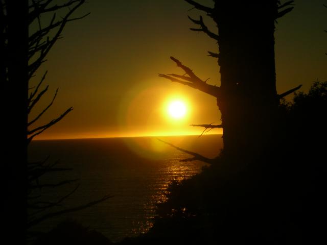 DSCN3514.jpg