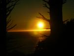 DSCN3515.jpg