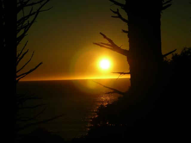DSCN3515.jpg
