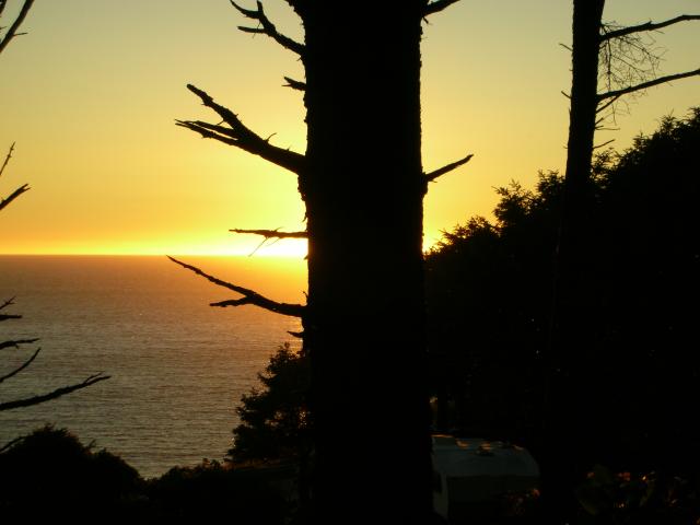 DSCN3516.jpg