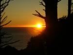 DSCN3517.jpg