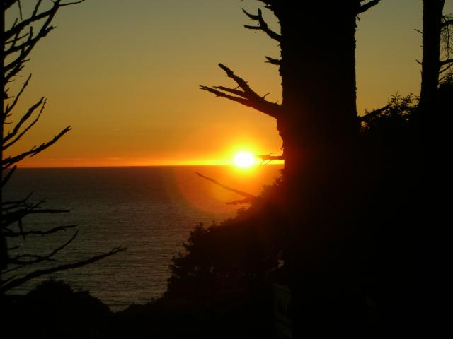 DSCN3518.jpg