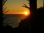 DSCN3519.jpg