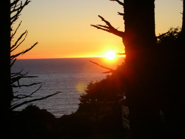 DSCN3520.jpg