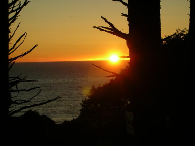 DSCN3521.jpg