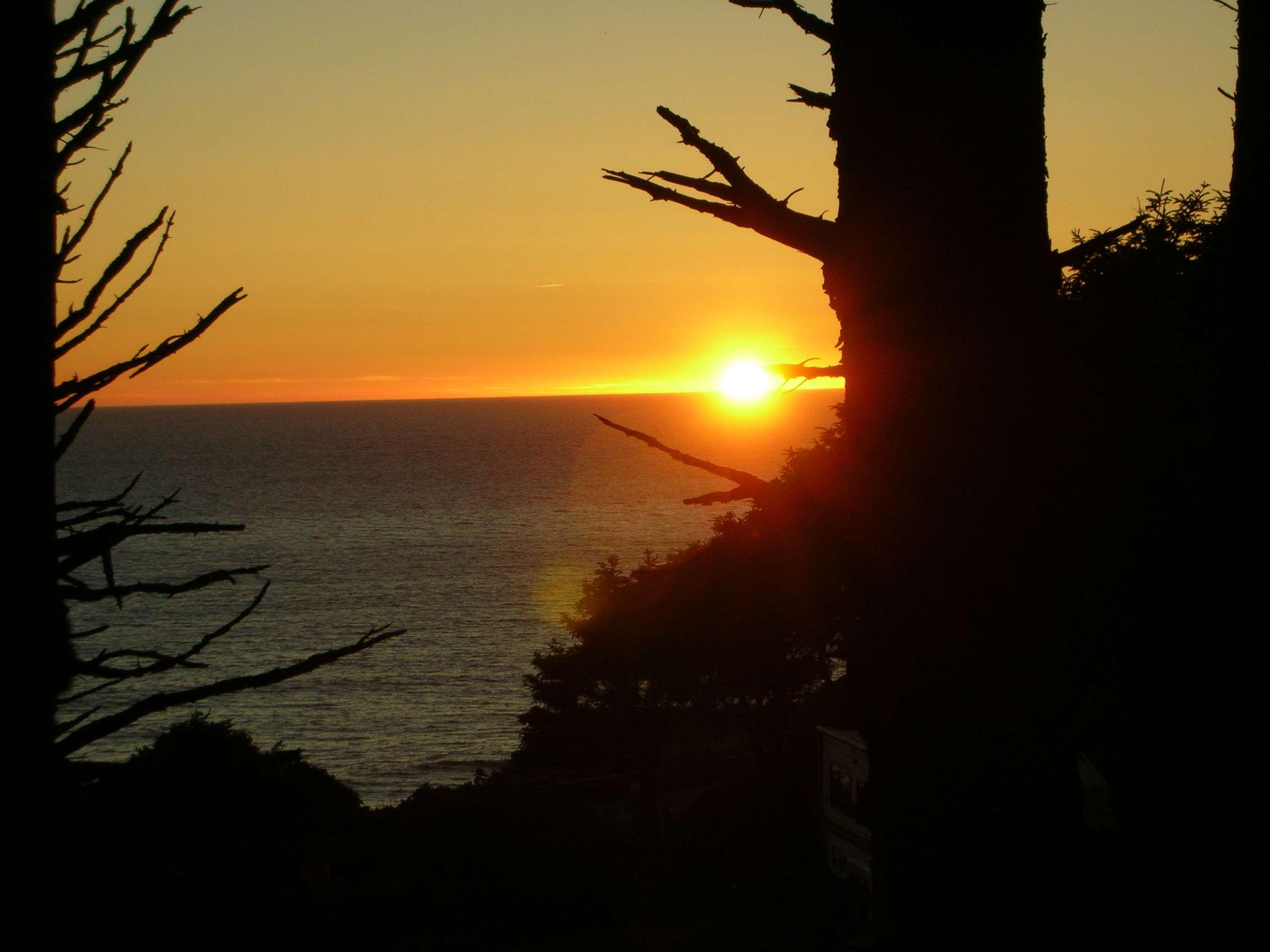 DSCN3522.jpg