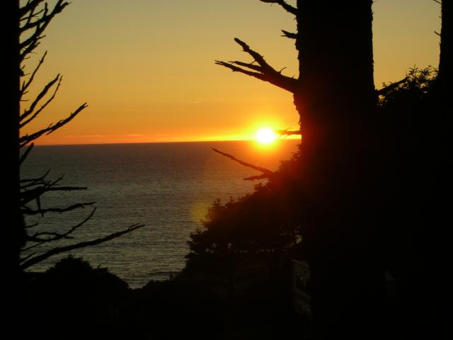 DSCN3522.jpg