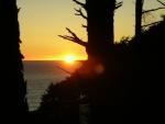 DSCN3523.jpg