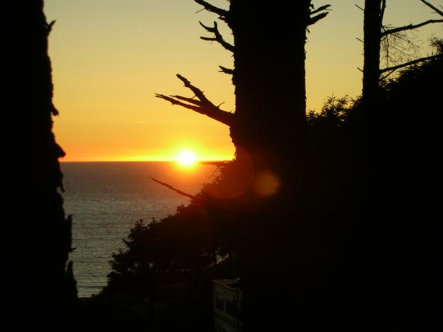DSCN3523.jpg